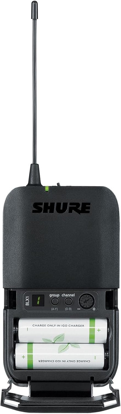 Microfono BLX14 SM31 Shure
